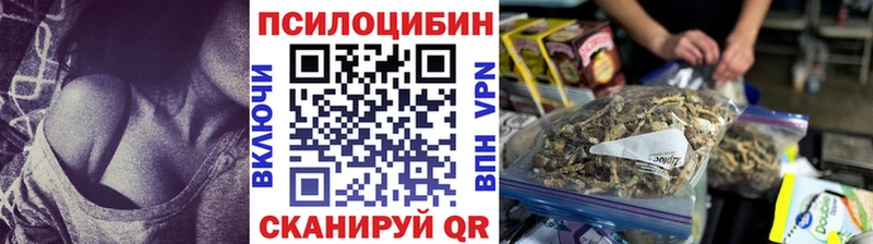 хочу наркоту  Ак-Довурак  Псилоцибиновые грибы GOLDEN TEACHER 